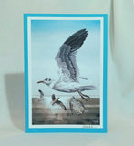 "The Oyster Catchers" Handmade Greeting Card Bundle